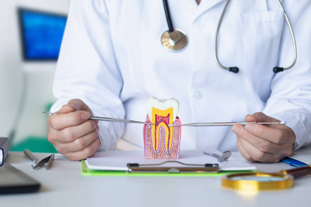 Best Emergency Dental Care for Abscessed Tooth in Cedar Grove, WI